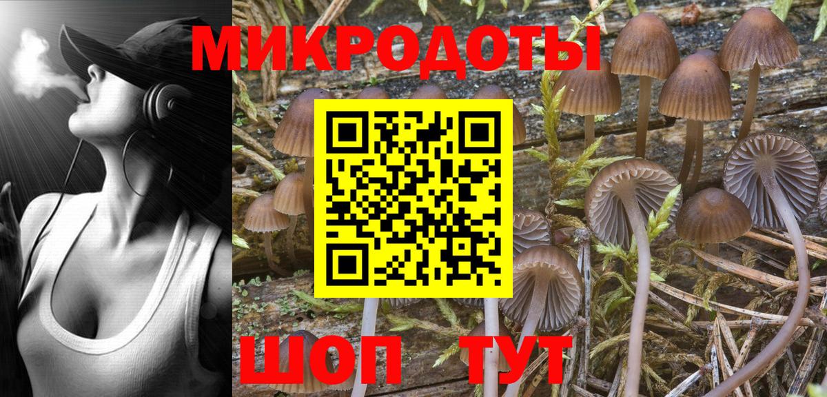 Псилоцибиновые грибы Psilocybine cubensis Коломна